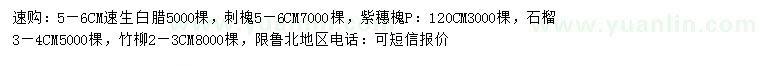 求購速生白蠟、刺槐、紫穗槐等