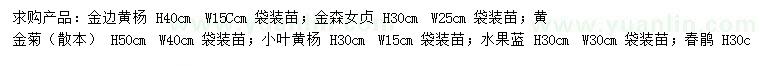 求購(gòu)金邊黃楊、金森女貞、黃金菊等