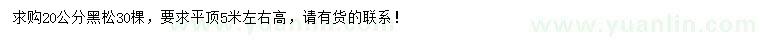 求購20公分黑松