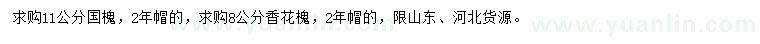求購(gòu)11公分國(guó)槐、8公分香花槐