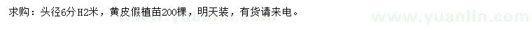 求購頭徑6公分黃皮