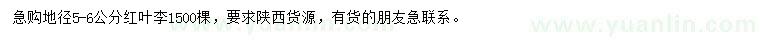 求購地徑5-6公分紅葉李