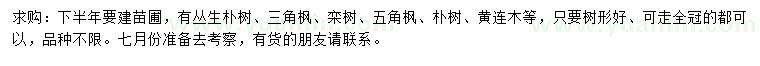 求購叢生樸樹、三角楓、欒樹等