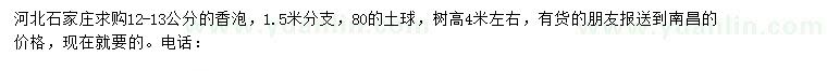 求購12-13公分香泡