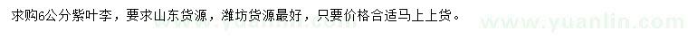求購(gòu)6公分紫葉李
