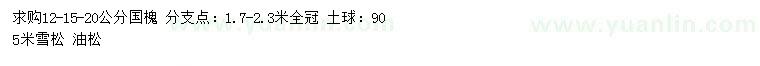 求購(gòu)國(guó)槐、雪松、油松