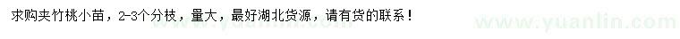求購夾竹桃小苗