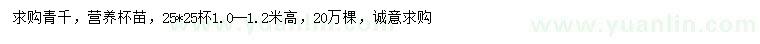 求購(gòu)1-1.2米高青扦