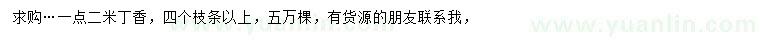 求購1.2米丁香