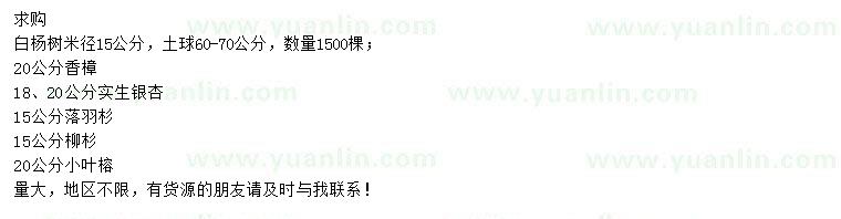 求購白楊樹、香樟、銀杏等