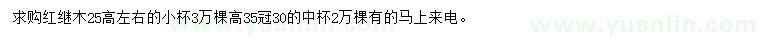 求購(gòu)高25公分左右、30公分紅繼木