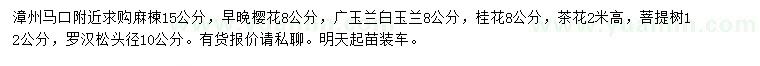 求購麻楝、櫻花、廣玉蘭等