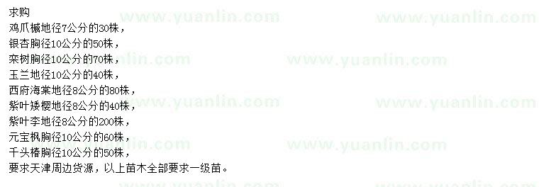 求購雞爪槭、銀杏、欒樹等