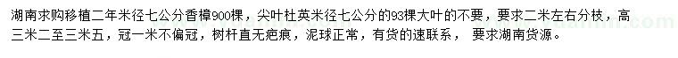 求購(gòu)米徑7公分香樟、尖葉杜英
