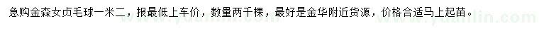 求購1.2米金森女貞毛球