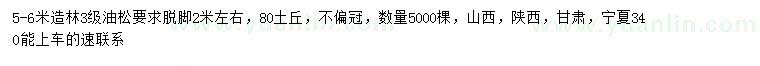 求購5-6米油松