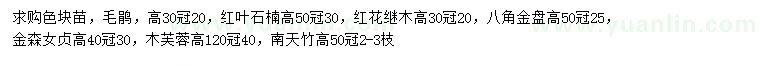 求購毛鵑、紅葉石楠、紅花繼木等