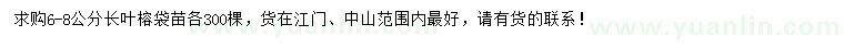 求購6-8公分長葉榕