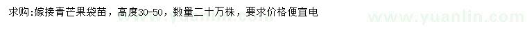 求購高度30-50公分青芒果