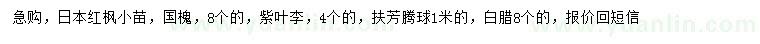 求購(gòu)日本紅楓小苗、國(guó)槐、紫葉李等