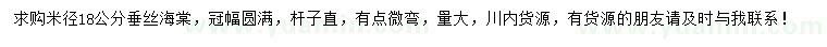 求購米徑18公分垂絲海棠