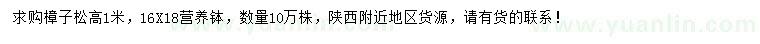 求購(gòu)高1米樟子松