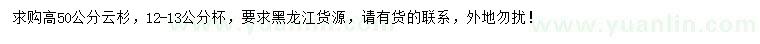 求購高50公分云杉