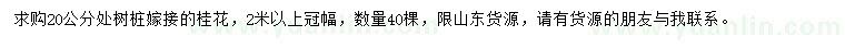 求購冠2米以上桂花