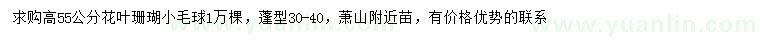 求購高55公分花葉珊瑚小毛球