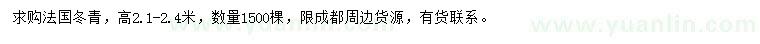 求購高2.1-2.4米法國冬青