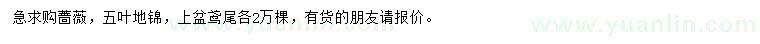 求購薔薇、五葉地錦、鳶尾