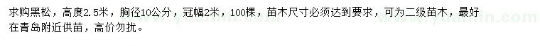 求購(gòu)高2.5米黑松