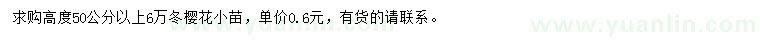 求購(gòu)高50公分以上冬櫻花小苗