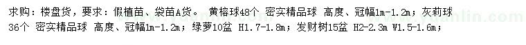 求購(gòu)黃榕球、灰莉球、發(fā)財(cái)樹(shù)等