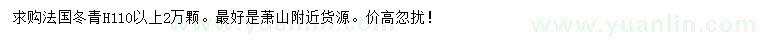 求購高110公分法國冬青