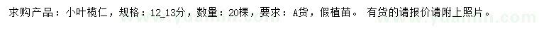 求購12、13公分小葉欖仁