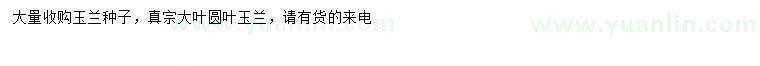 求購(gòu)玉蘭種子