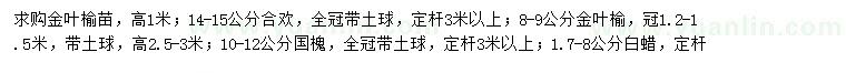 求購金葉榆苗、合歡、金葉榆等