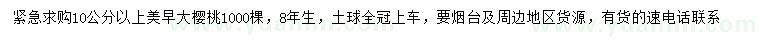 求購(gòu)10公分以上美早大櫻桃