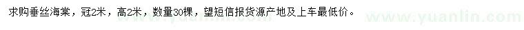 求購(gòu)冠2米垂絲海棠
