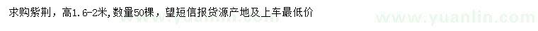 求購高1.6-2米紫荊