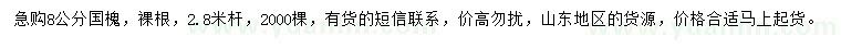 求購8公分國槐