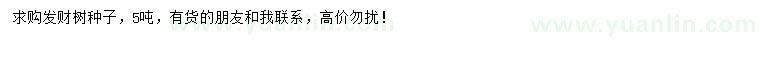 求購(gòu)發(fā)財(cái)樹(shù)種子