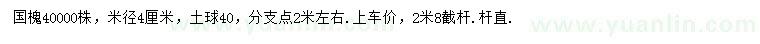 求購米徑4公分國槐