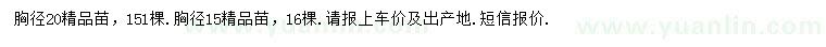 求購胸徑15、20公分樂昌含笑
