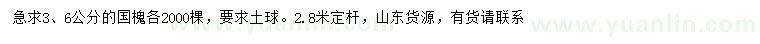 求購3、6公分國槐