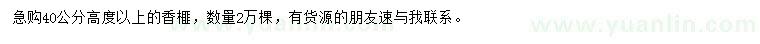 求購高40公分以上香榧