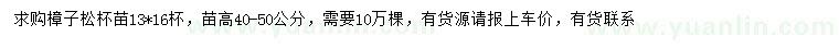 求購高40-50公分樟子松