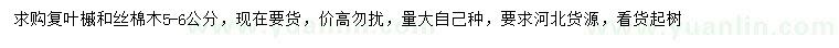 求購5-6公分復(fù)葉槭、絲棉木
