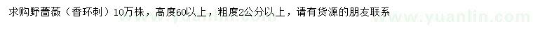 求購高度60公分以上野薔薇